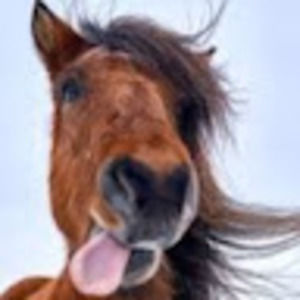 Meet your Posher, Katherine